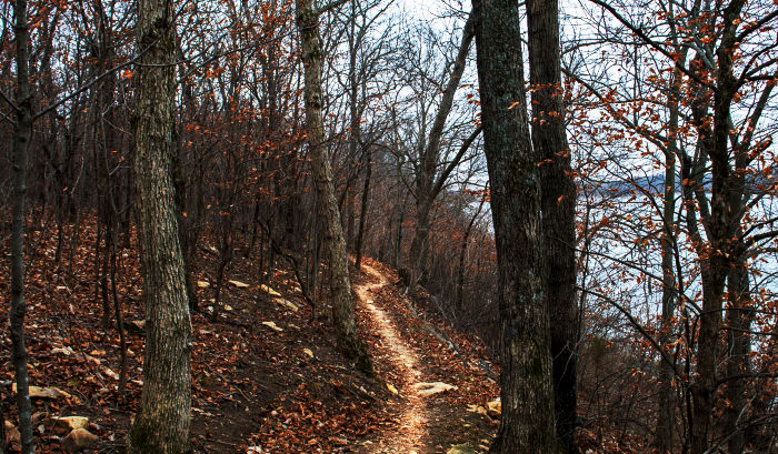 Mountain Bike Trail at Bonebender trail at Smitheville Lake MO