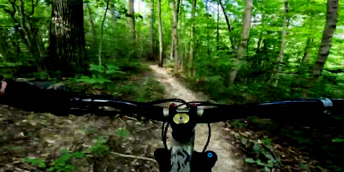 Royalview Singletrack
