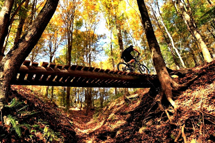 Vultures Knob Mountain Bike Park