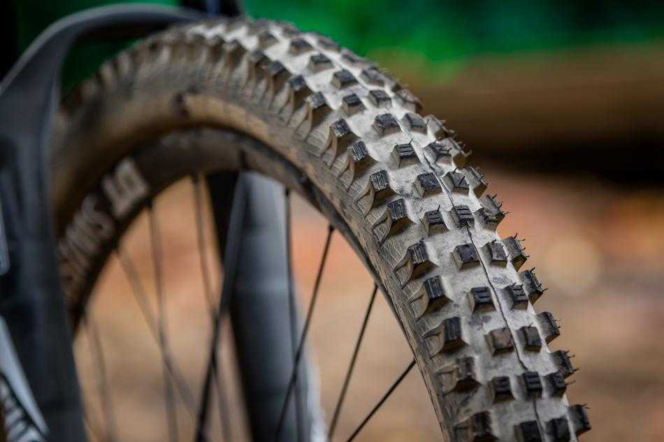 Schwalbe Magic Mary SnakeSkin