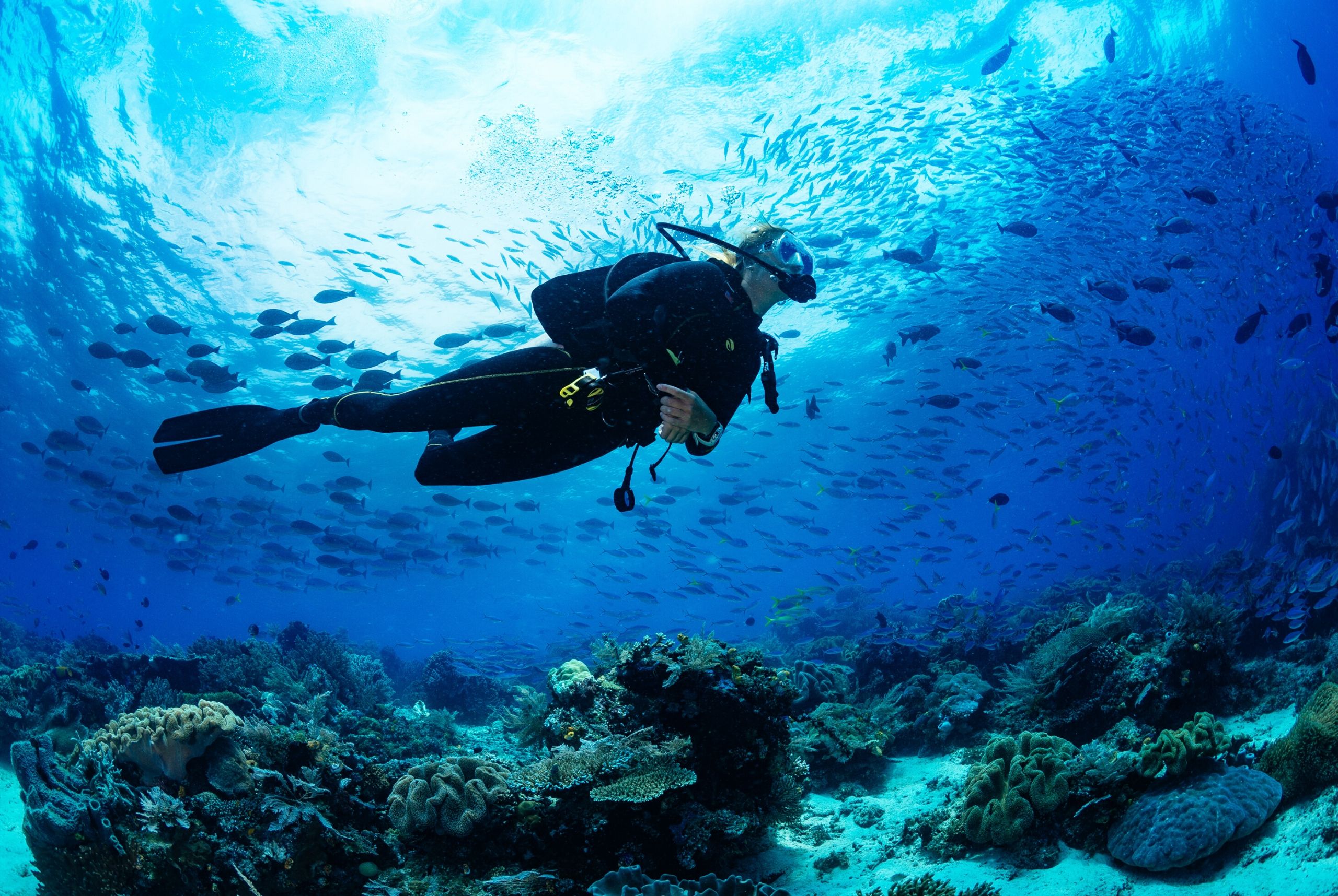 Surprising Benefits of Scuba Diving