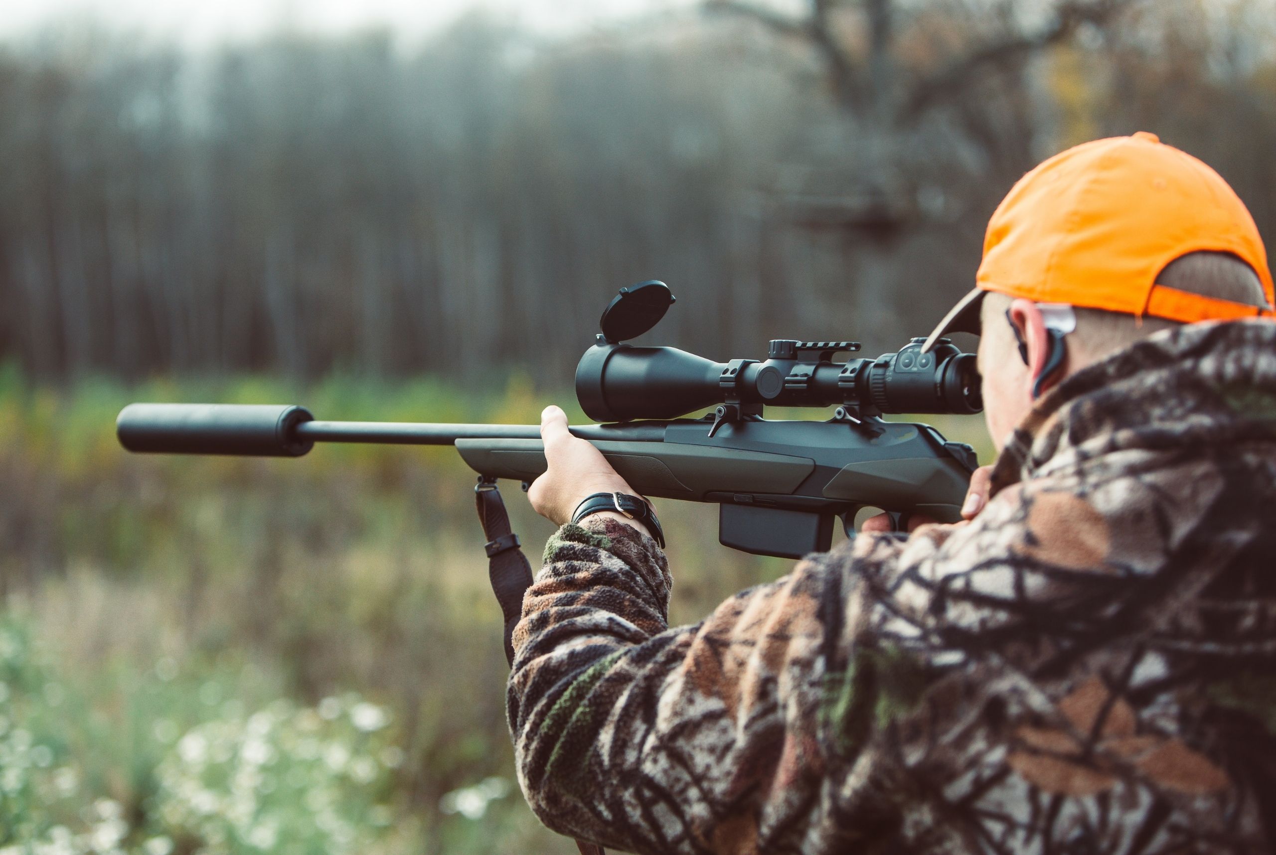 Canned hunting