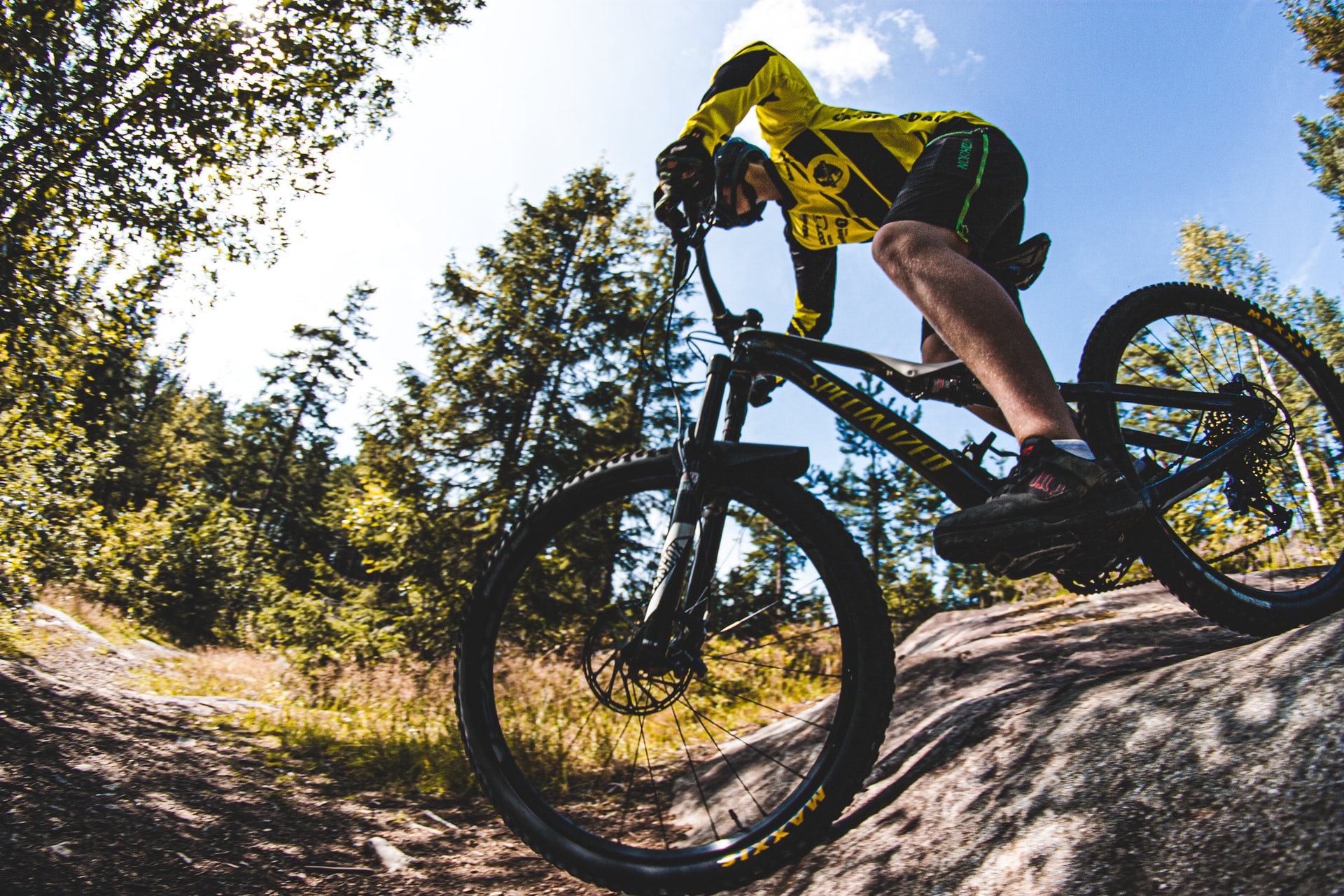 Experts Tell Us the Best Entry Level MTB Forks Radnut