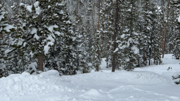 Eagle Wind Tree Skiing