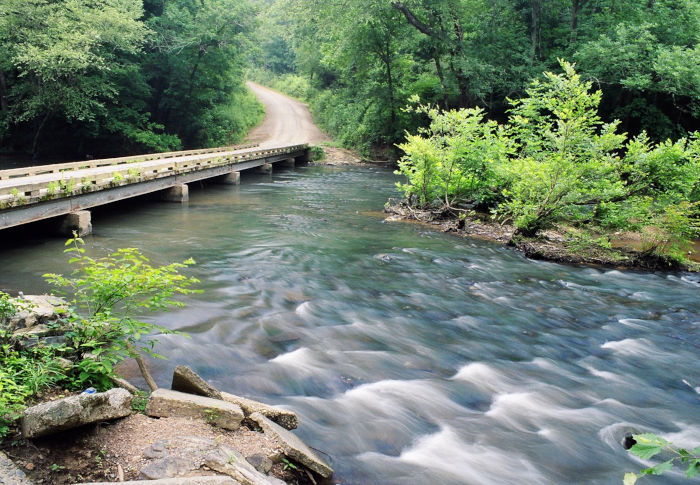 Mountain bike trails North Carolina at Uwharrie National Forest.